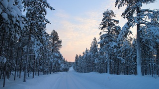 Laponie finlandaise