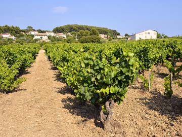 Séminaire haut de gamme au Castellet