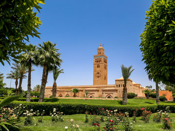 sa-realisation-marrakech2-66797073-jpg