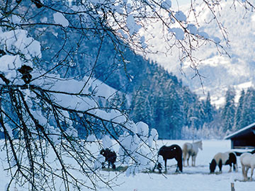 sa-realisation-samoens-jpg